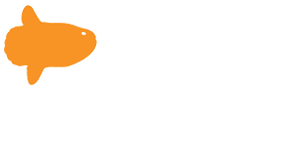 Intermundia Solutions